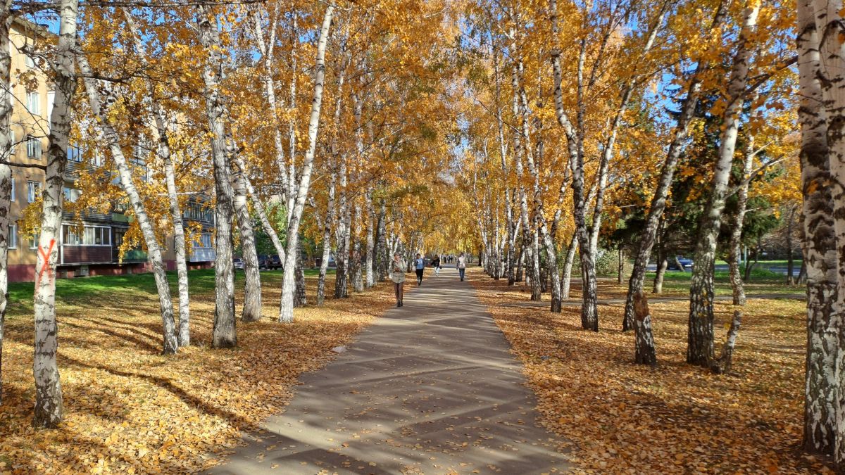 Золотая осень. Погода.