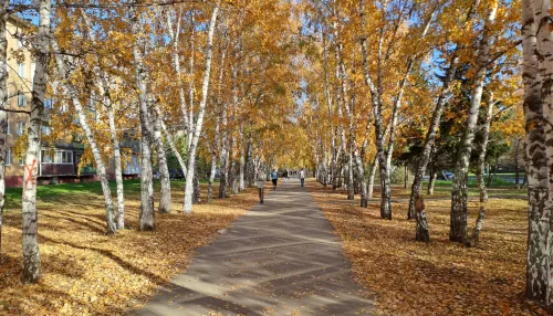 Тепло еще вернется: какая погода будет в Алтайском крае в конце октября