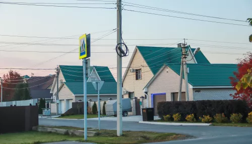 Ветклиника или зоомагазин: сердце солнечного поселка Барнаула отдают под застройку