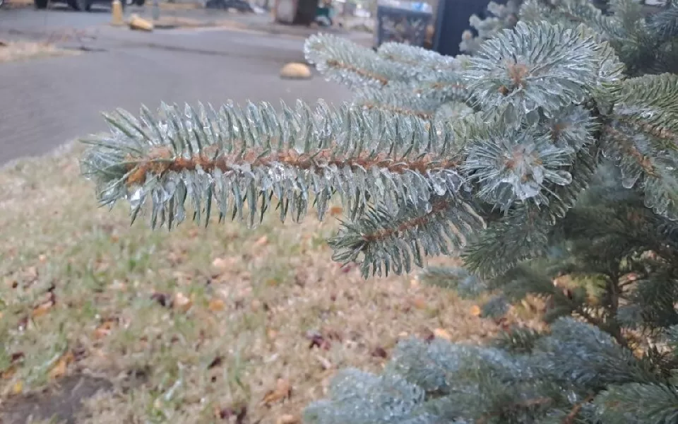 Заморозки до -3 градусов: в Алтайском крае передали штормовое предупреждение