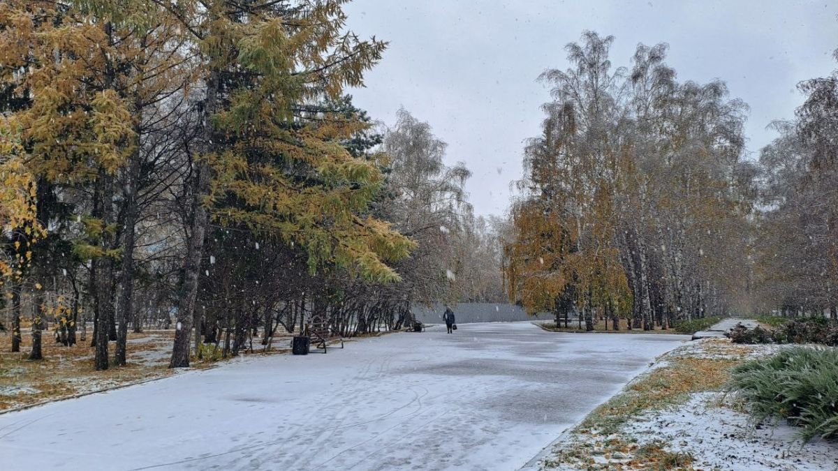 Октябрь. Снег. Погода. Осень.