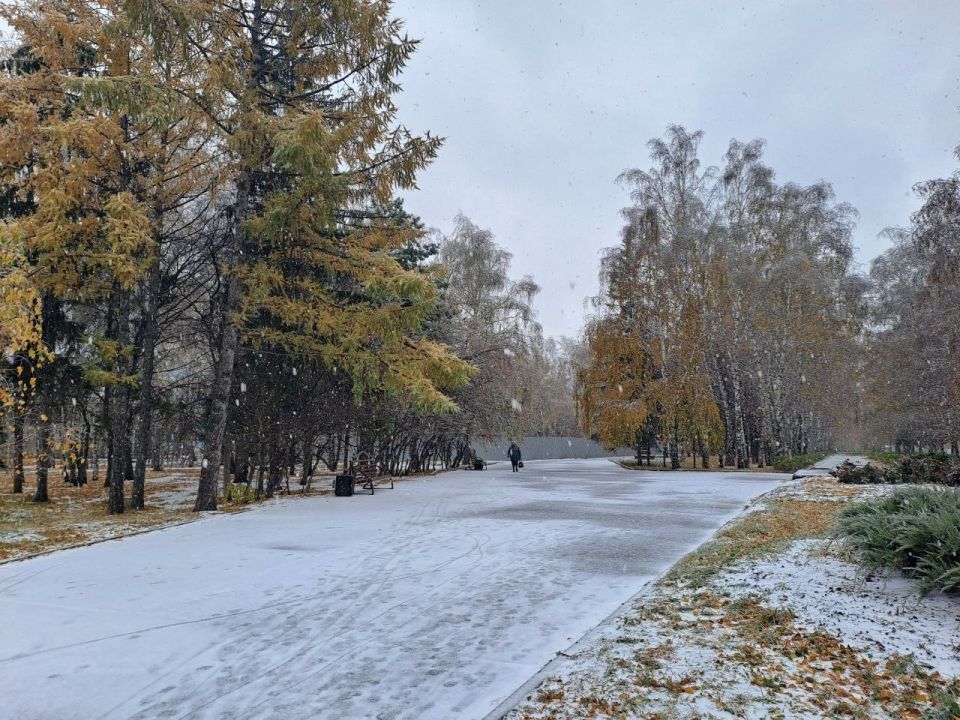 Октябрь. Снег. Погода. Осень.