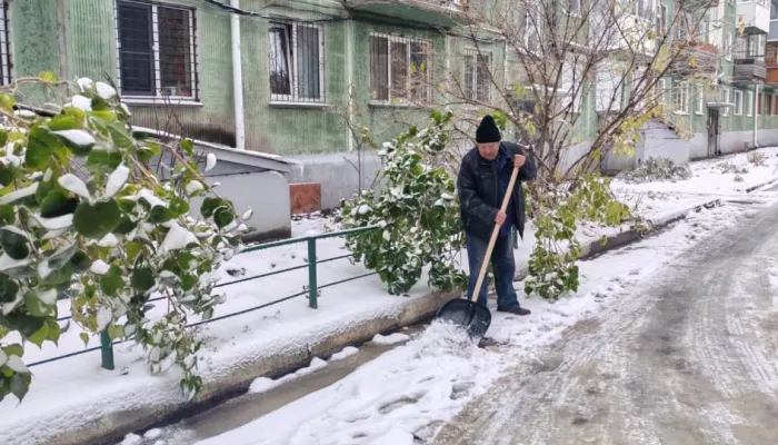 Снег с порывистым ветром накроют Алтайский край 29 октября