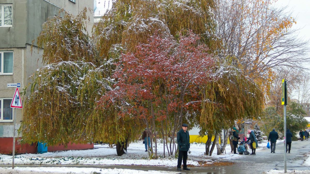 Осенний Барнаул, укрытый снегом