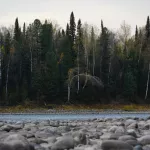 Государству вернут около девяти тысяч квадратов земли у реки Бии в Республике Алтай