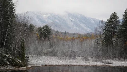 27 турпроектов МСП Республики Алтай получили господдержку в 2025 году