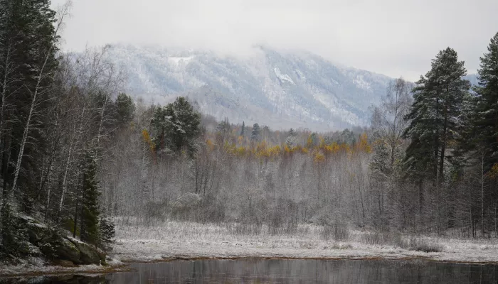 27 турпроектов МСП Республики Алтай получили господдержку в 2025 году