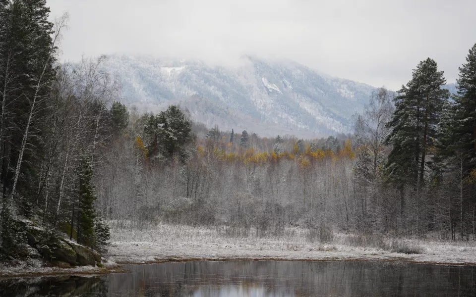 27 турпроектов МСП Республики Алтай получили господдержку в 2025 году