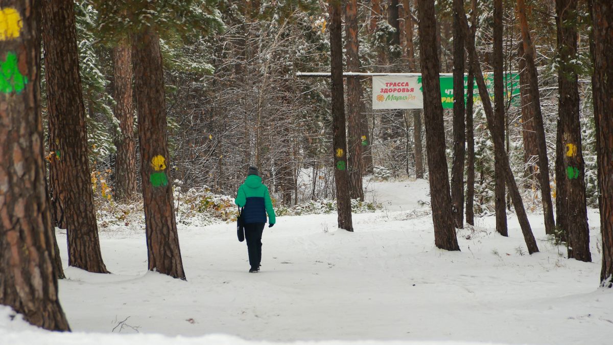 Трасса здоровья