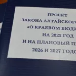 Стартовый вариант бюджета края на 2025 год учитывает то, что регион может позволить