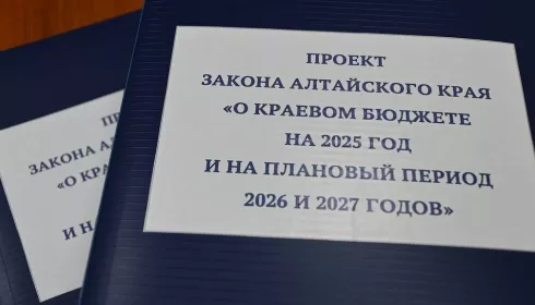 С тревогой и ростом: депутаты утвердили бюджет Алтайского края на 2025 год