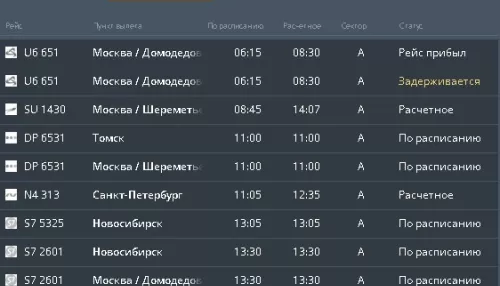 В очередной туман в барнаульском аэропорту задержали прилет рейса