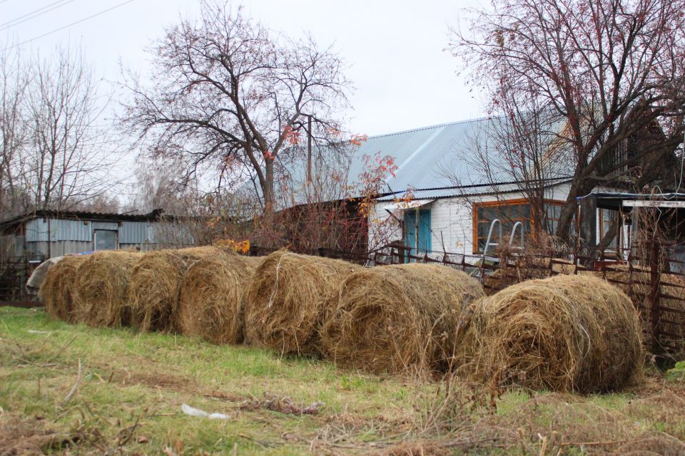 Село Иконниково в Смоленском районе Алтайского края