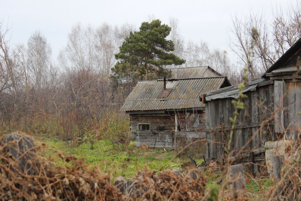 Село Иконниково в Смоленском районе Алтайского края