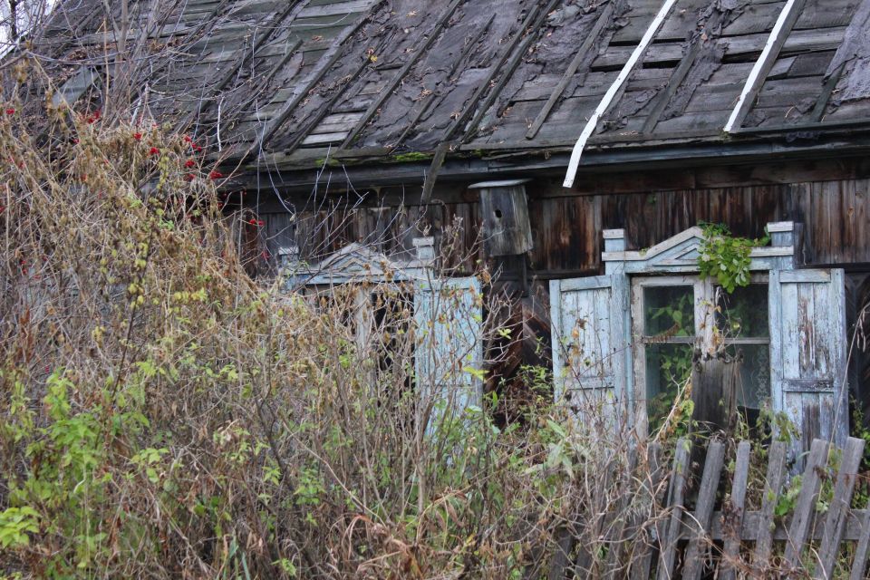 Село Иконниково в Смоленском районе Алтайского края