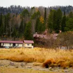 Республика Алтай стала первопроходцем в стране по земельной амнистии