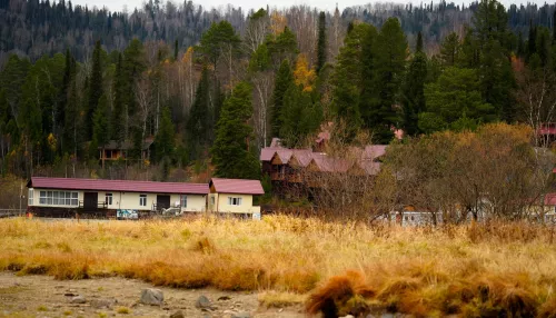 Республика Алтай стала первопроходцем в стране по земельной амнистии