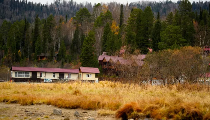 Республика Алтай стала первопроходцем в стране по земельной амнистии