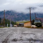 Маленькое село с большой историей: как живет одно из старейших поселений Алтая. Фото