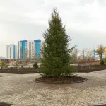 Четыре сезона для жизни. Как новый парк стал спортивным оазисом новостроек Барнаула