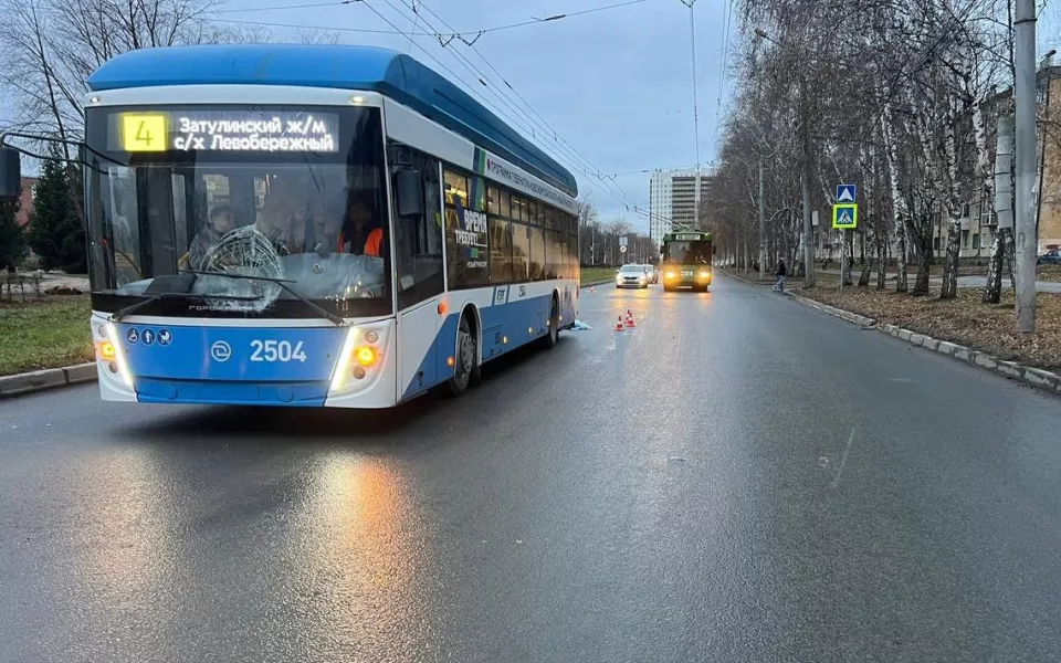 Водитель троллейбуса получила срок за смерть беременной женщины