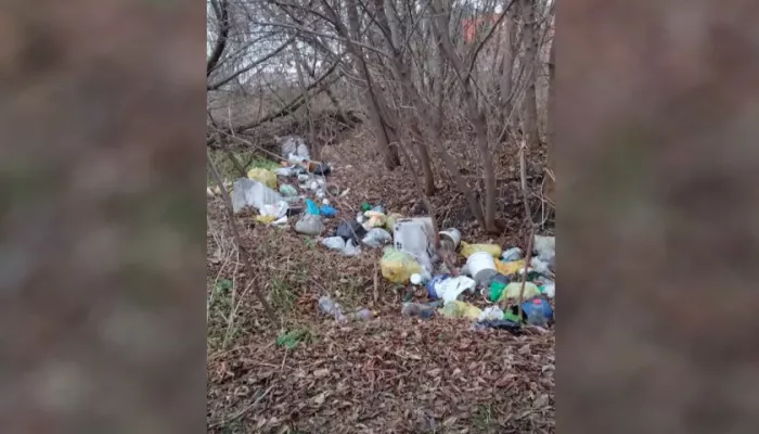 Столько мусора я в жизни не видела: бийчанам попеняли на грязный город