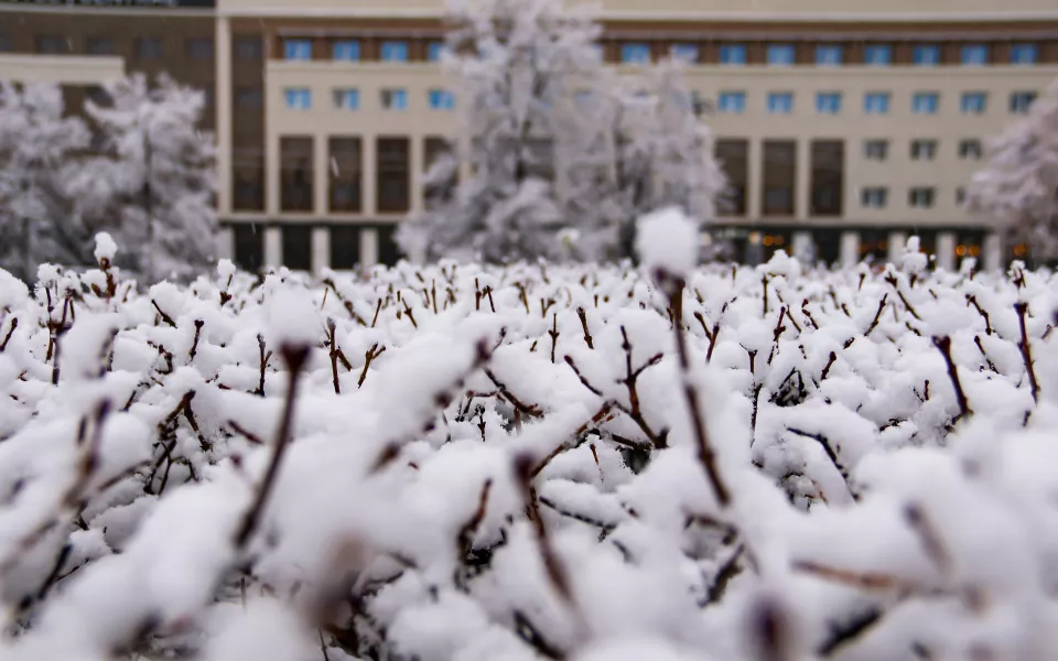 Мокрый снег с дождем и около 2 градусов: о погоде в Алтайском крае 19 апреля