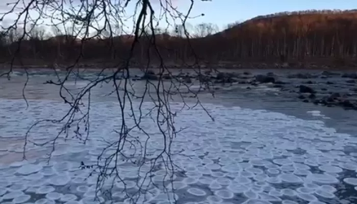 На реке в Мурманской области появились ледяные блинчики. Видео