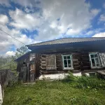 Бросившую дома детей жительницу Алтая обвиняют в махинациях с маткапиталом