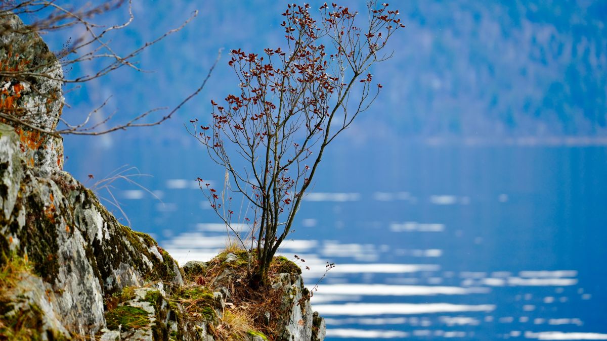 Село Яйлю в Республике Алтай