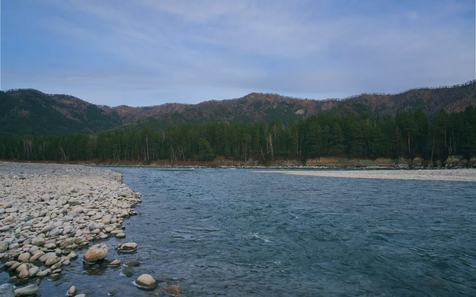 Часть трассы в Республике Алтай перекрыли из-за подъема Катуни