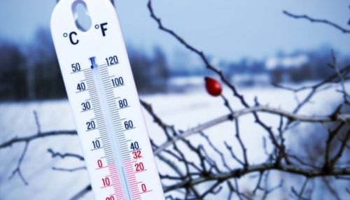Мороз до -30 градусов ждет жителей Алтайского края на выходных