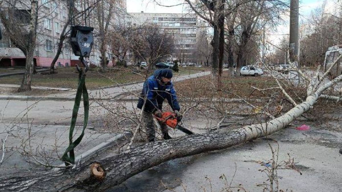 Сегодня падают даже крупные деревья