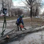 Какие проблемы и ЧП надул шквалистый ветер в Алтайском крае