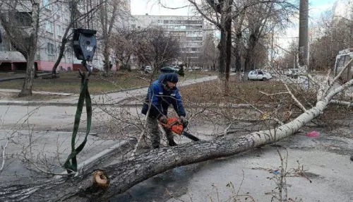 Какие проблемы и ЧП надул шквалистый ветер в Алтайском крае