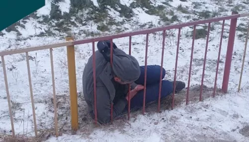 В Новосибирске спасатели помогли мужчине, чья голова застряла в заборе