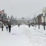 Сильный ветер со снегопадом и метелями накроют Алтайский край 14 ноября