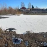 В Алтайском крае маленькая девочка утонула в глубокой луже