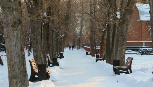 Парковая культура. В новом генплане Барнаула нашли место под 10 новых парков