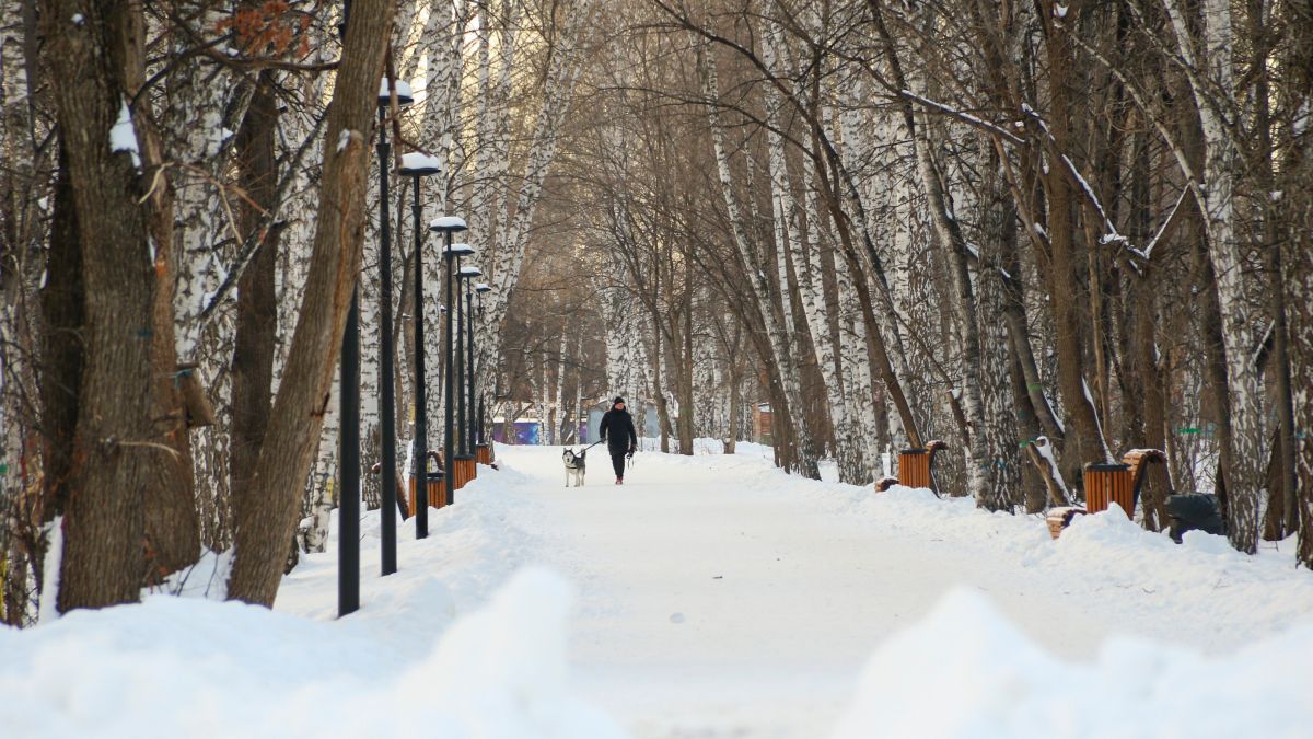 Парк имени Ленина