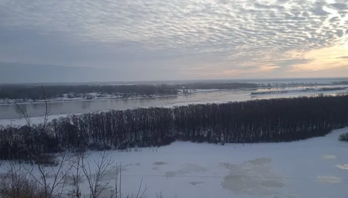 В Барнауле проведут рекультивацию территории в районе берегового склона Оби