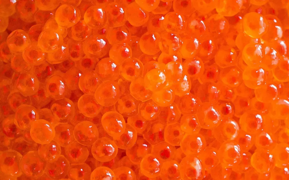 В красной икре пяти торговых марок нашли кишечную палочку