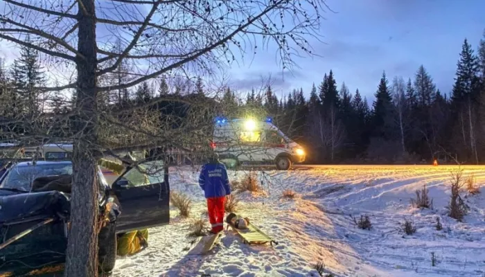 В Горном Алтае Toyota RAV4 слетела с трассы в дерево. Пострадал водитель