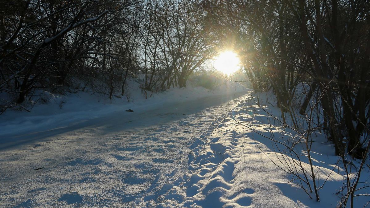 Закрытый участок проезда Канатного. 26 ноября 2024 года