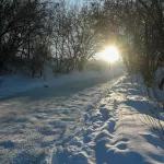 Два крутых участка дороги закрыли в Барнауле на зиму