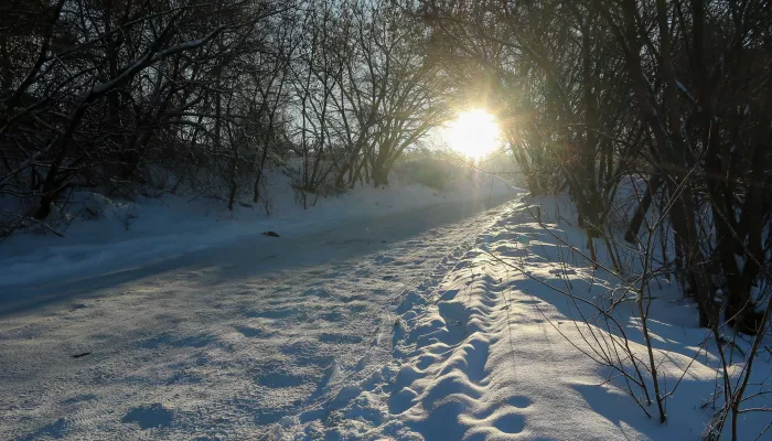 Два крутых участка дороги закрыли в Барнауле на зиму