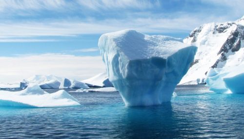 Ученые обнаружили жизнь под толщей льда в Антарктиде