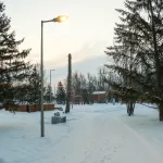 Центральный парк Барнаула закроют с 10 по 14 ноября для подготовки к Новому году