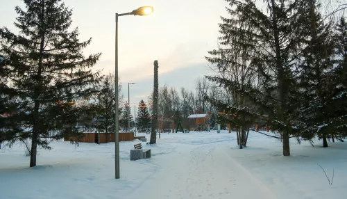 Центральный парк Барнаула закроют с 10 по 14 ноября для подготовки к Новому году