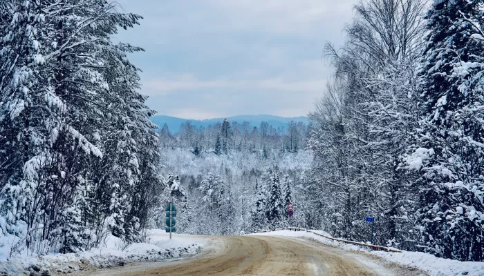 Дорога в сказку: как Телецкий тракт выглядит зимой и что его ждет ближайшей весной
